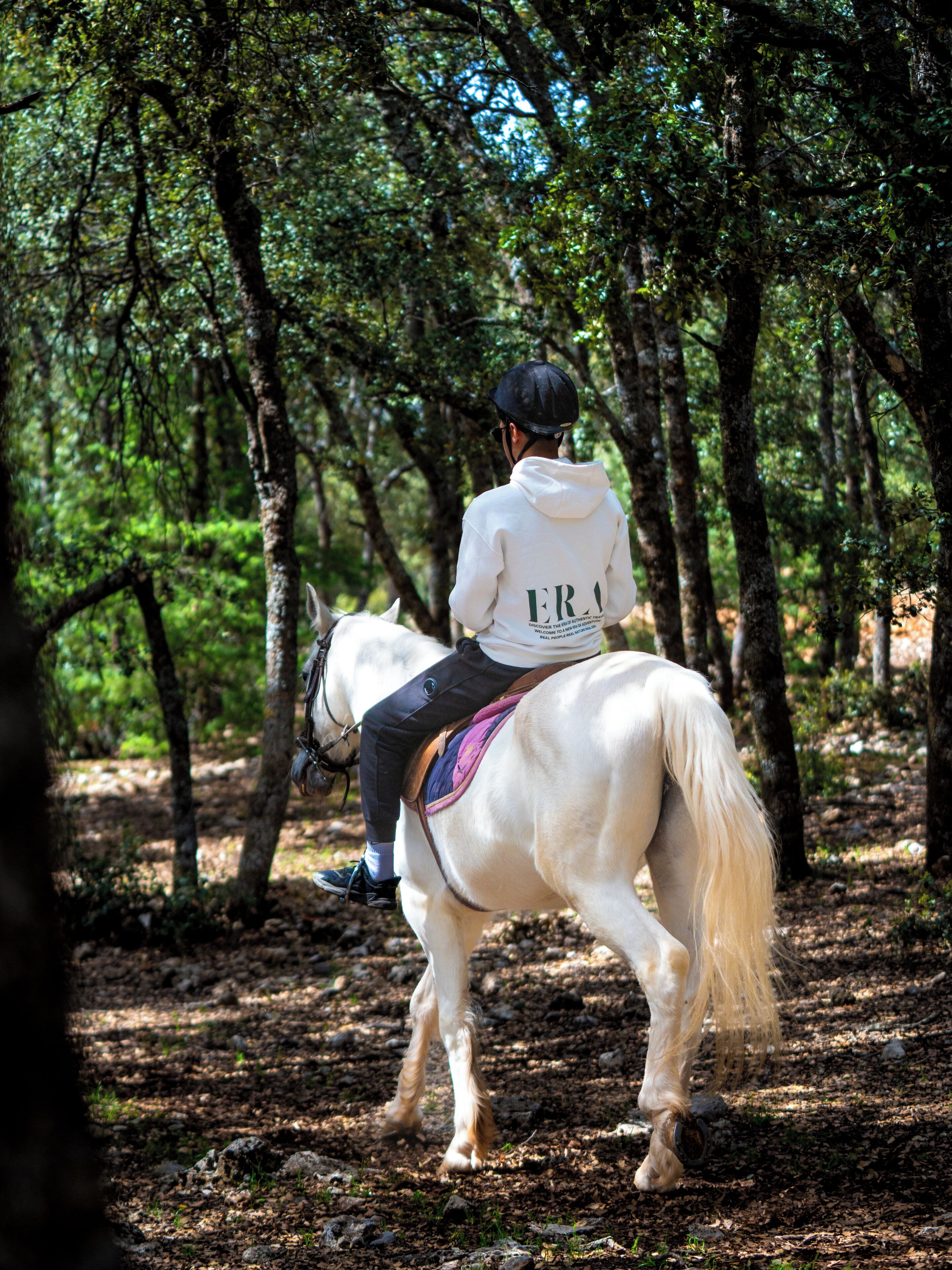 A person riding a horse through a wooded area.