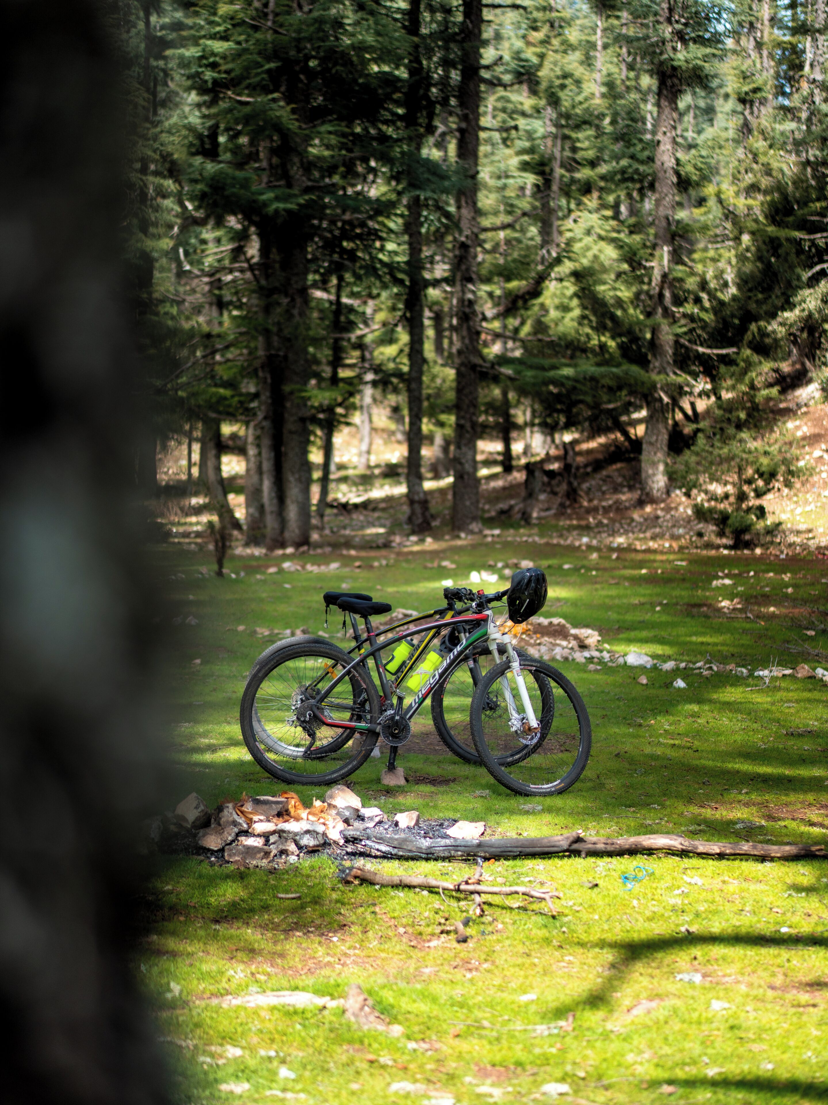 A bicycle parked on a grassy area with trees in the background.