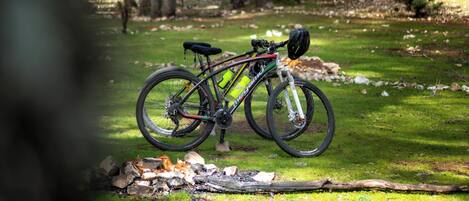 A bicycle parked on a grassy area with trees in the background.