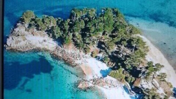 An aerial view of a coastal area with clear blue waters, sandy beaches, and dense greenery. - VILLA 260€ 12 People Ideal for large groups (hikers, families, etc.) (Plouenan ( kerlaudy))