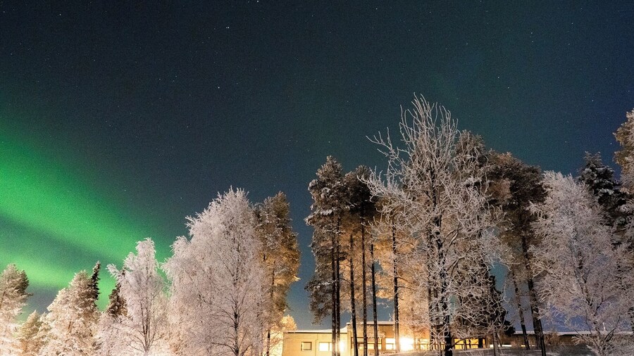 Hostel Aurora
