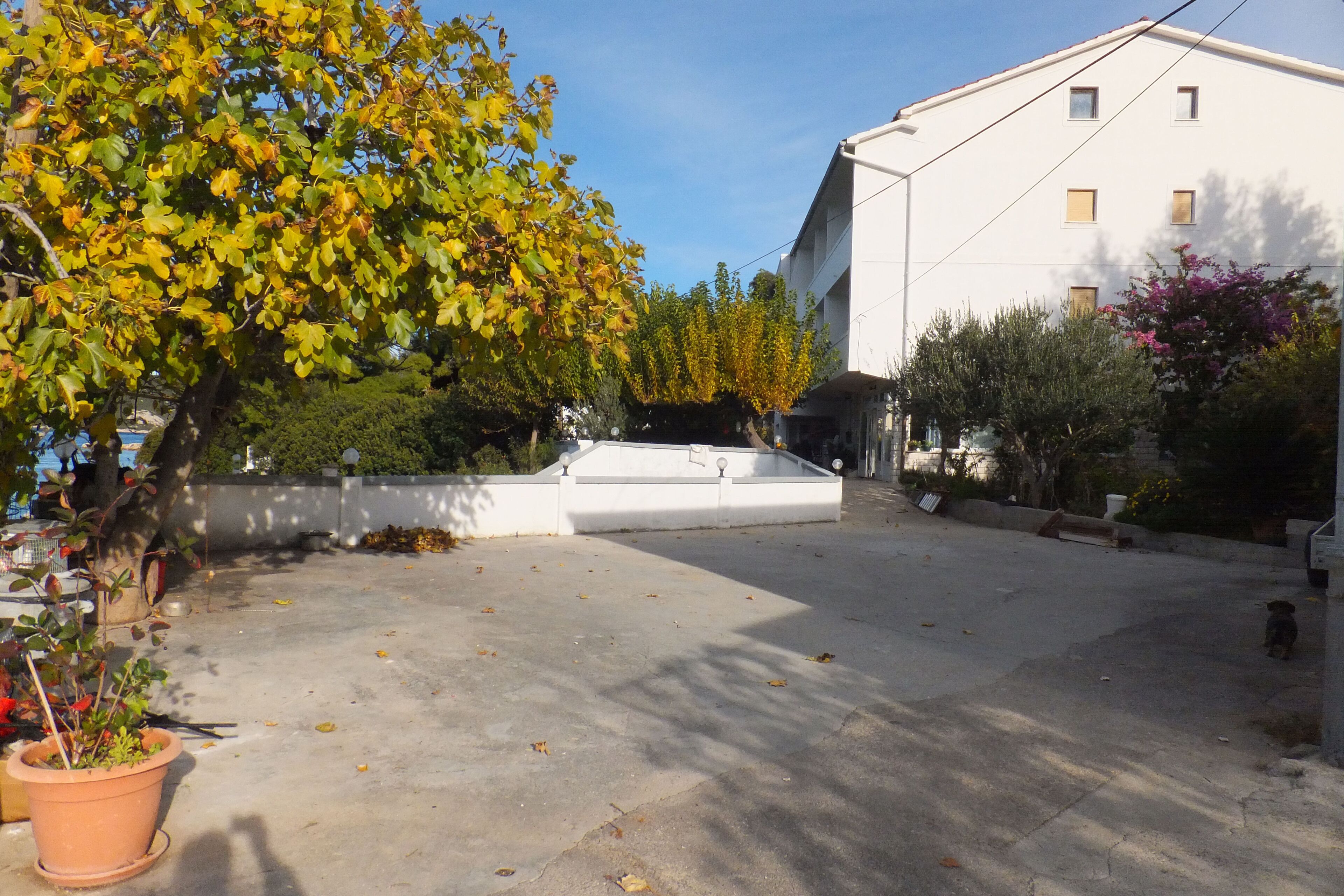 Une cour avec un bâtiment blanc, un arbre aux feuilles jaunes et une plante en pot.
