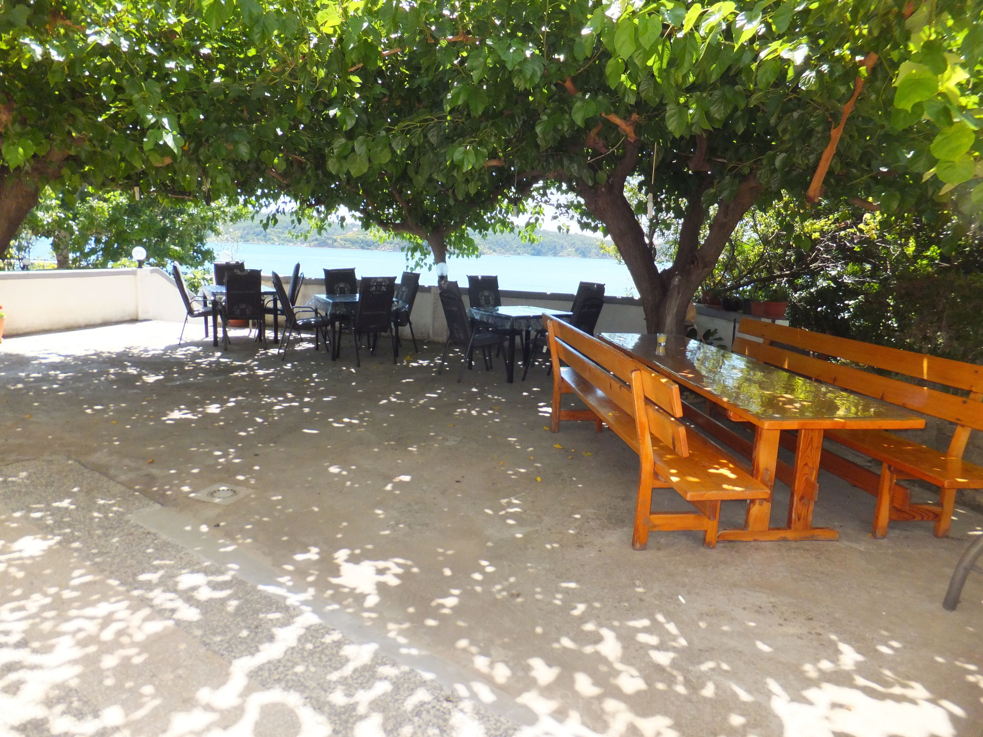 An outdoor seating area with tables and chairs under trees, overlooking a body of water.