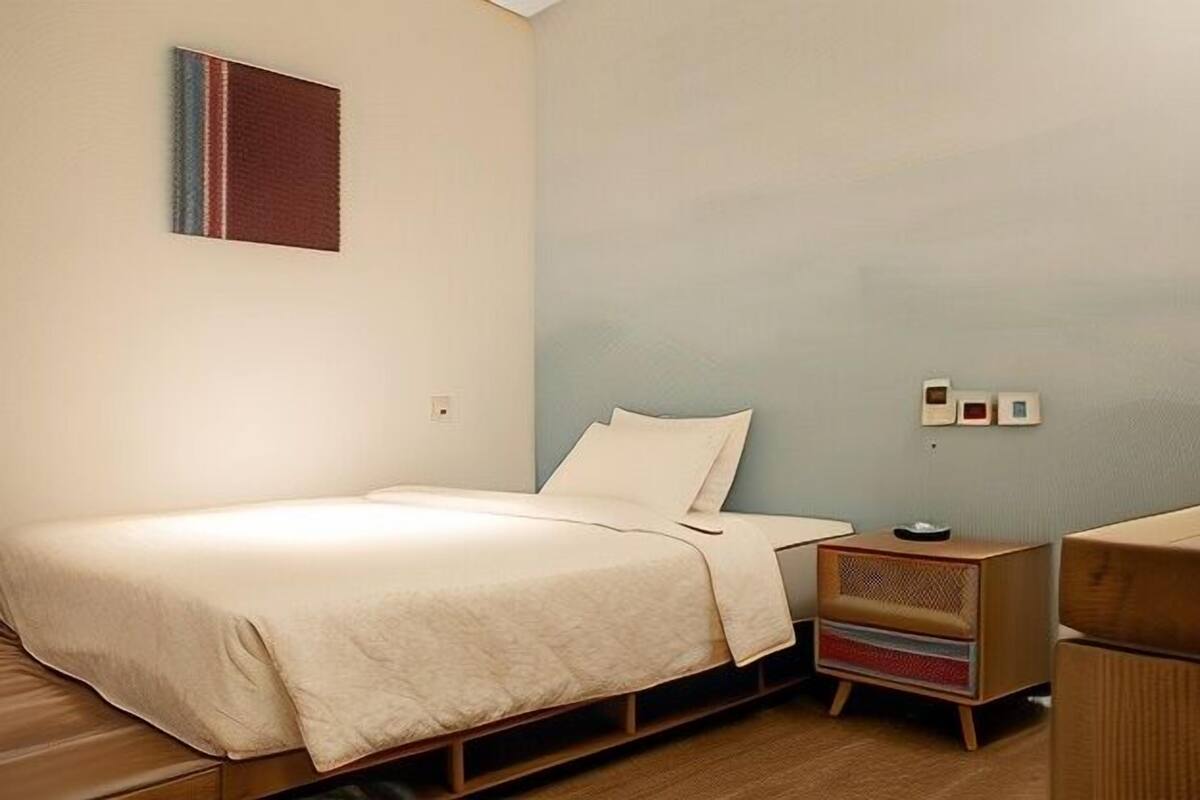 Blackout curtains, iron/ironing board, free WiFi, bed sheets