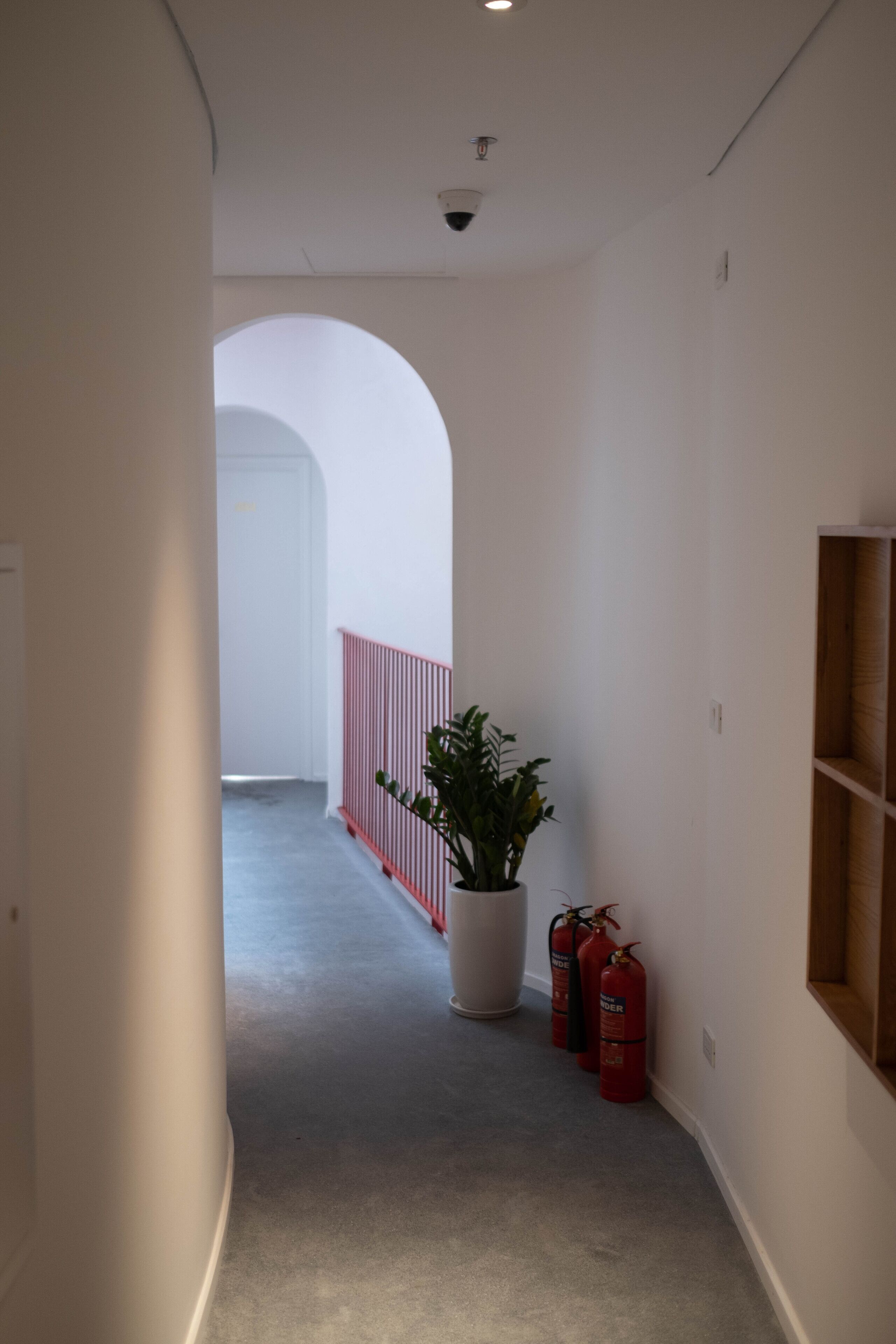 A hallway with a white wall, a potted plant, and red fire extinguishers.