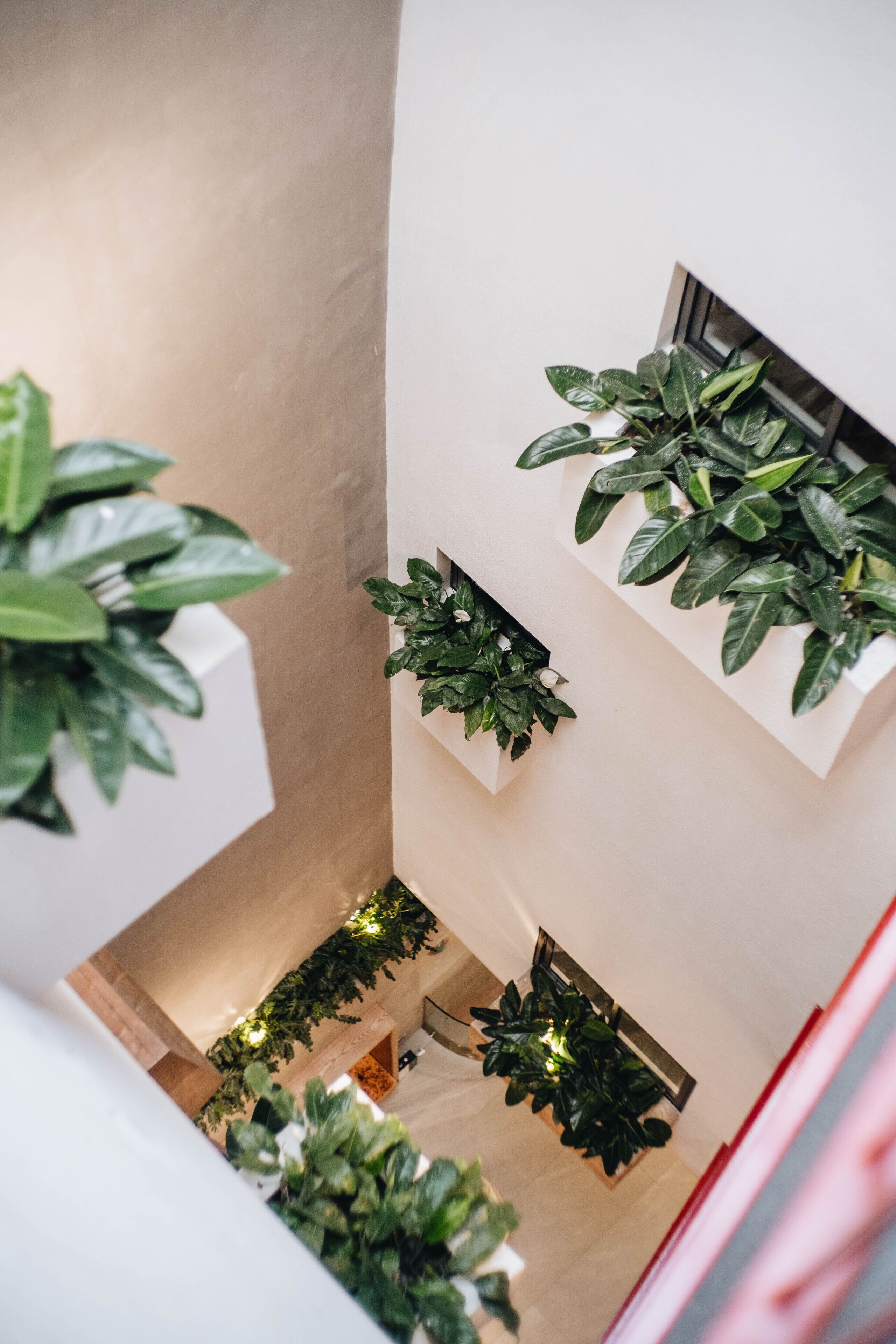 Photo - Mia Casa by Satori