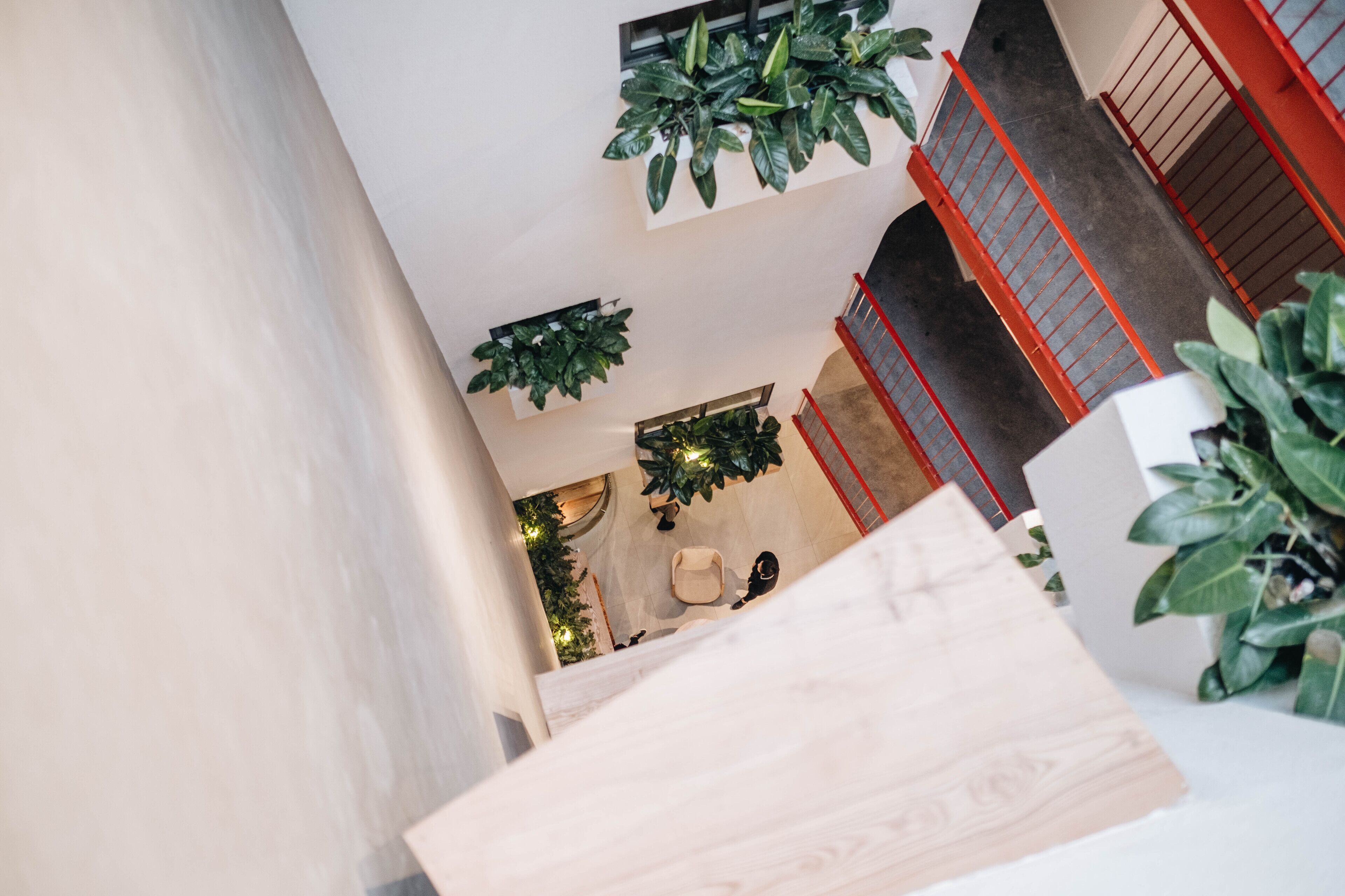 Photo - Mia Casa by Satori