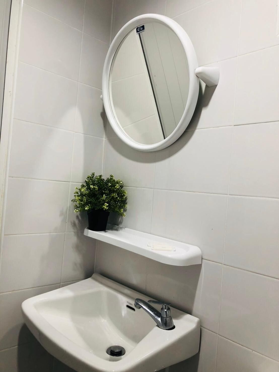 A bathroom with a white sink, a mirror, and a potted plant.