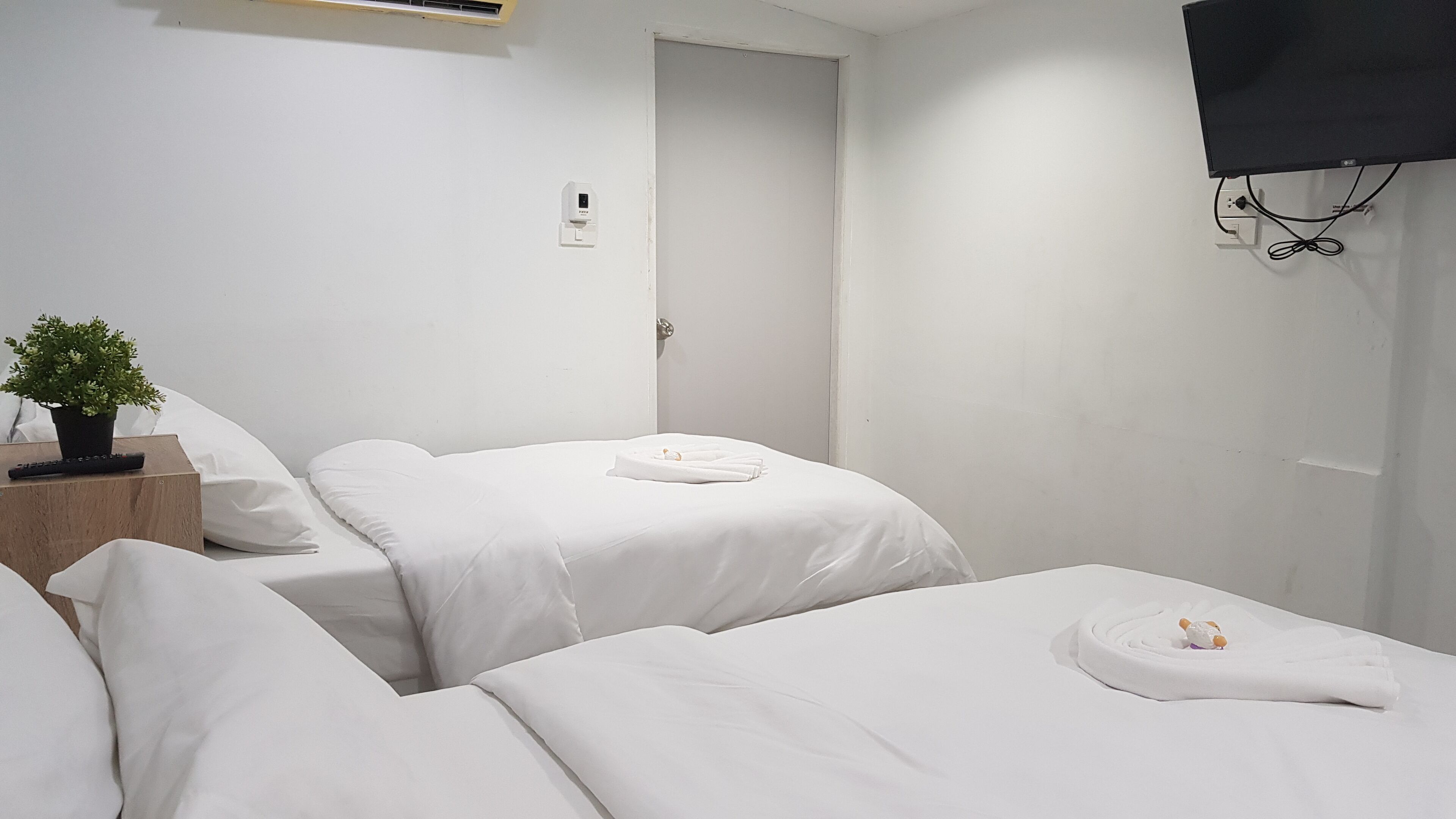 Habitación de hotel con dos camas, una planta en maceta, un control remoto y un televisor montado en la pared.