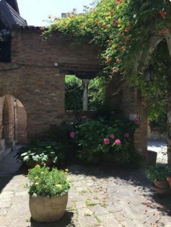 A brick courtyard with a stone pathway, a pergola covered in climbing plants, and a potted plant in the foreground.