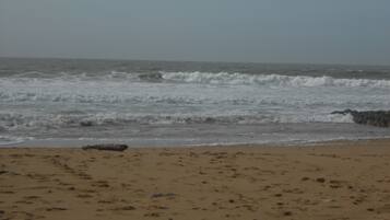Accommodatie ligt op het strand