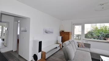 TV, DVD player, books, music library