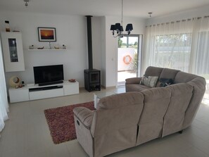 Smart TV, fireplace, video games, DVD player