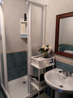 Shower, hair dryer, bidet, towels