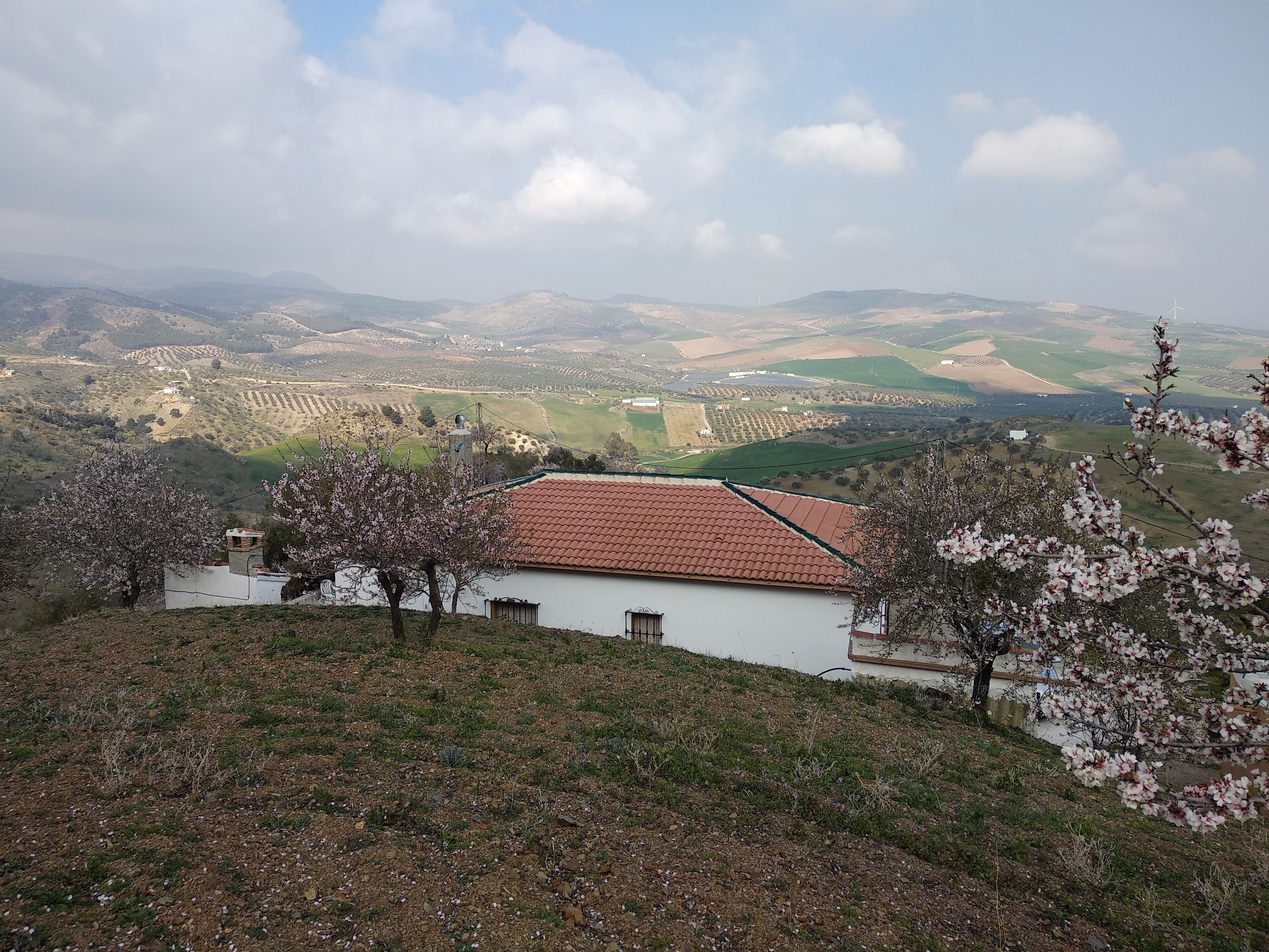 Vista desde la ladera de una colina con un edificio de techo de tejas rojas, rodeado de árboles en flor.