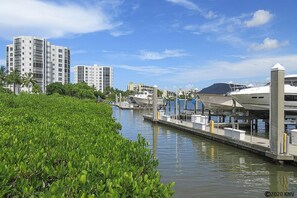 Stunning marina views with yachts docked amidst lush greenery and modern high-rise buildings.