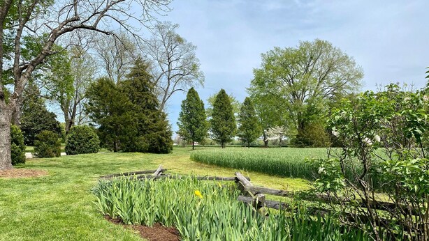 A well-maintained garden with a variety of trees, a grassy lawn, and a neatly arranged vegetable patch.