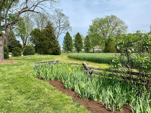 Cottage on Historic Property w/ Working Farm - Beautiful Pool & Fire Pit