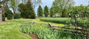 Cottage on Historic Property w/ Working Farm - Beautiful Pool & Fire Pit