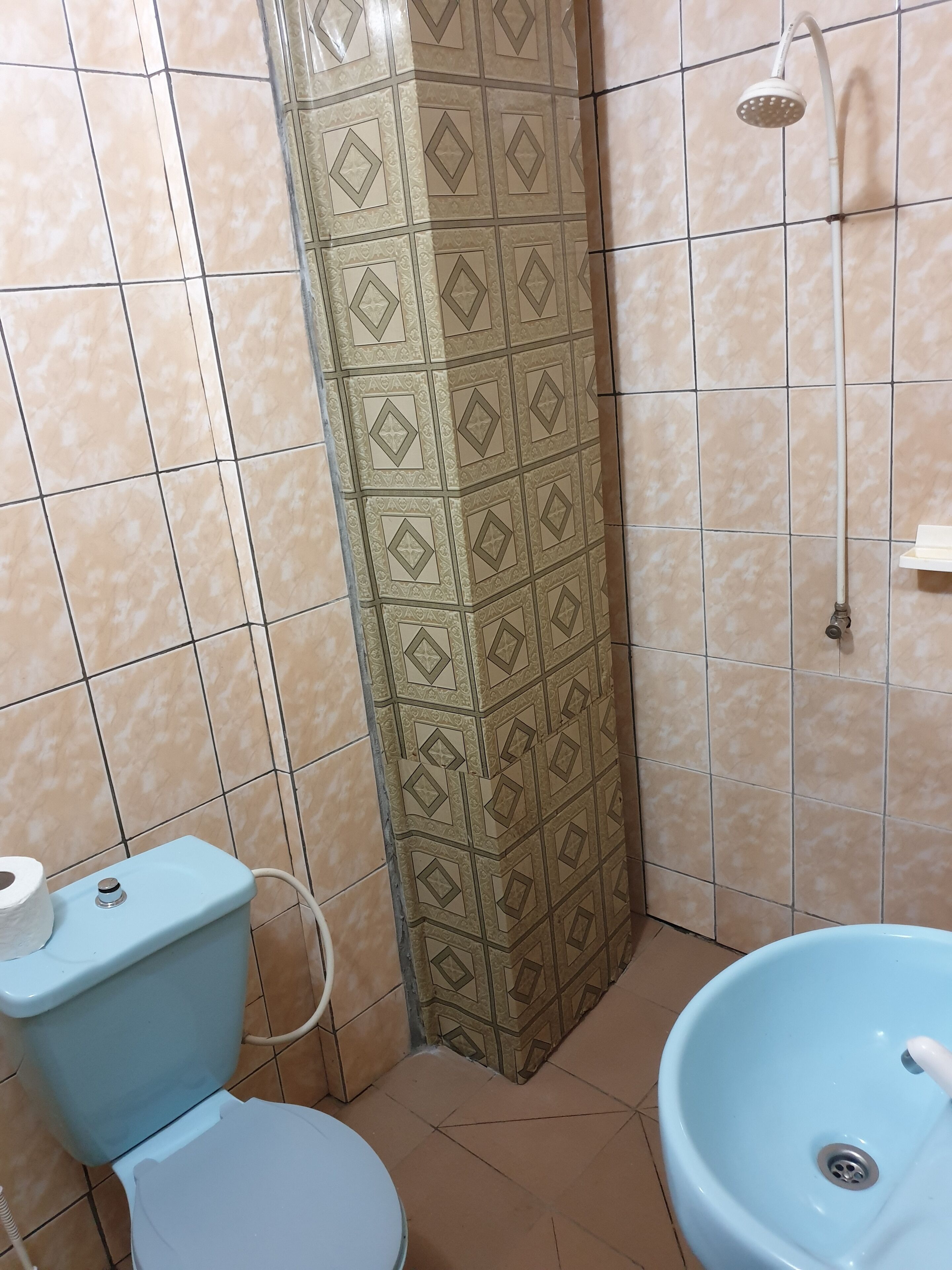 Un baño con inodoro, lavamanos y ducha.