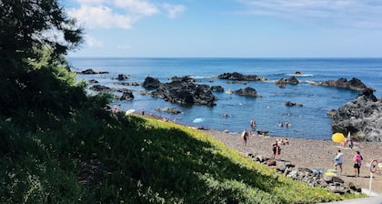 Sea Roots "Garden zone 1" - Ocean and Mountain