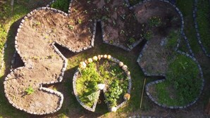 Un jardin composé de parcelles de formes circulaires et irrégulières, certaines étant plantées et d’autres laissées en terre nue.