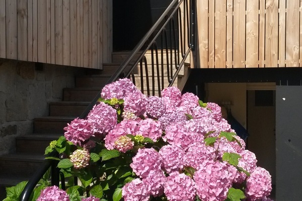 تفاصيل الفندق من الخارج