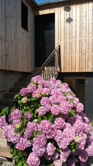 A wooden building with a staircase leading to a dark door.