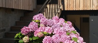Casa gran jardín cerca del mar y el campo Saint Briac sur Mer