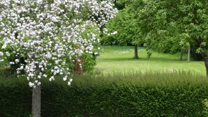 Ein Park mit einem Baum voller weißer Blüten, einem gepflegten Rasen und einer Hecke.