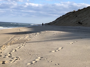 ビーチの近く、サンラウンジャー、ビーチタオル