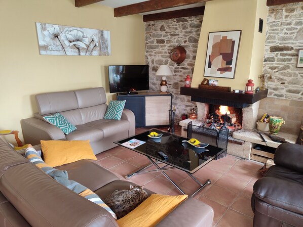 TV, fireplace, DVD player, books