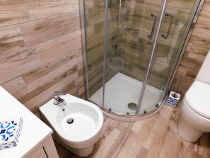 Regadera, secadora de cabello, bidet, toallas 