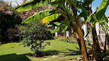 Taman