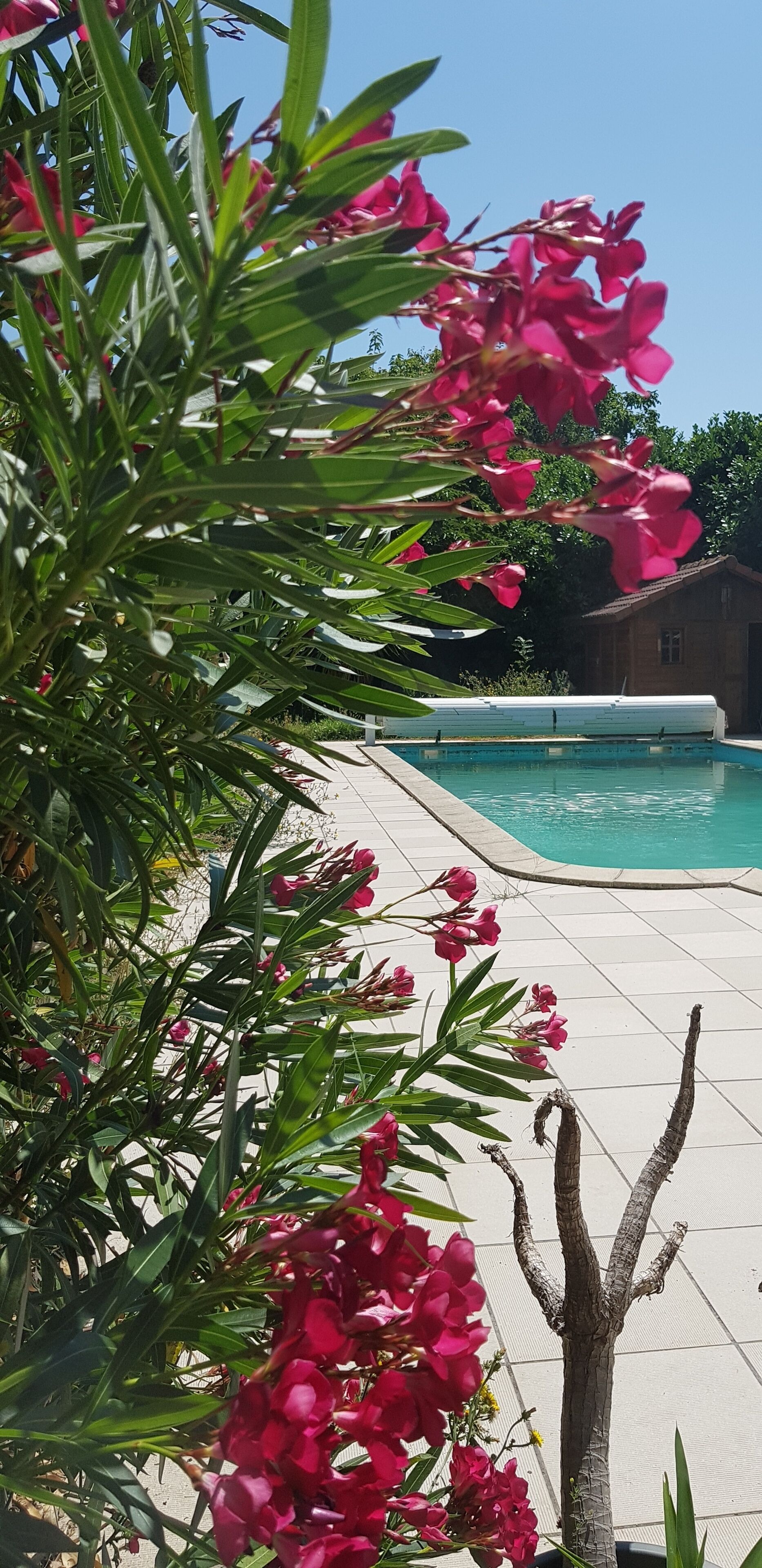 Piscina a l'aire lliure de temporada (horari: 09:30-20:00) i gandules 