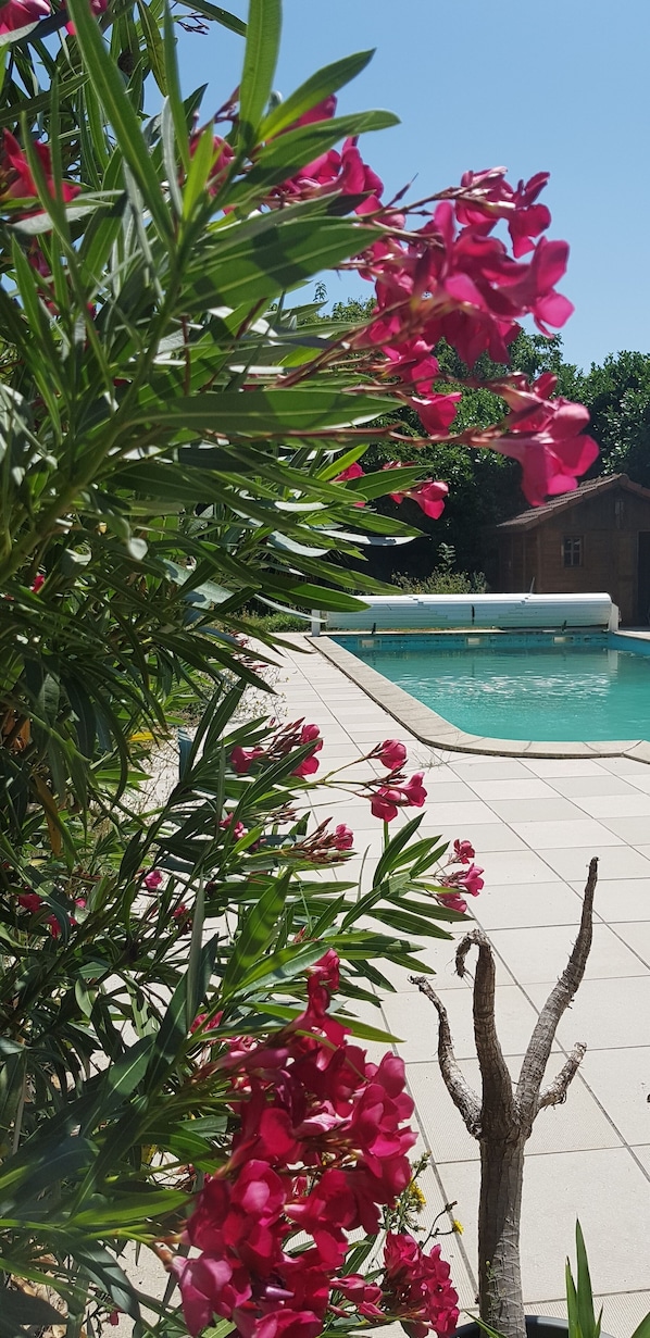 Piscine extérieure (ouverte en saison), chaises longues