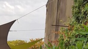 A courtyard with a concrete building, a shaded area, and a flowering plant. - Le Relais De Touvent (Boutenac-Touvent)