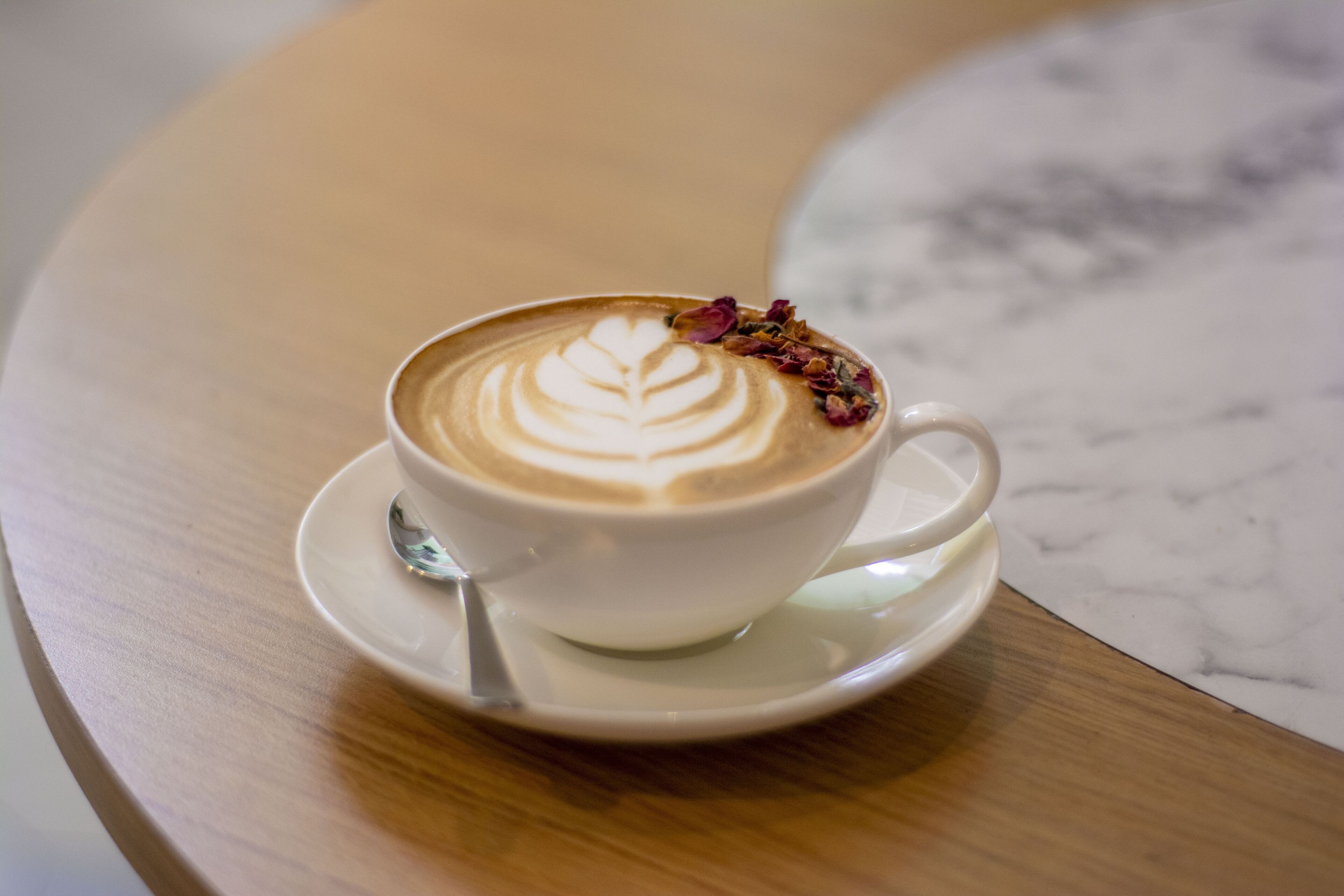 Foto - GALA Hotel Boutique