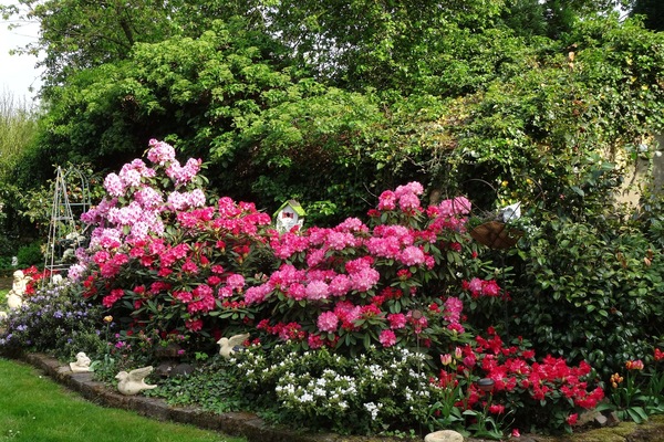 Blick in den Garten