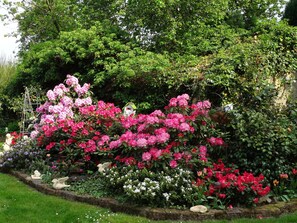 Um jardim com diversas plantas floridas e um comedouro de pássaros.