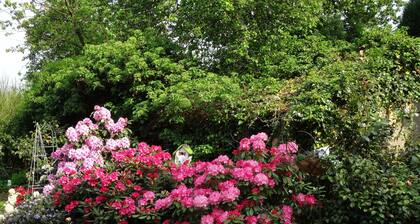 Pure relaxation in the Green Garden: barrier-free, bright and spacious apartment