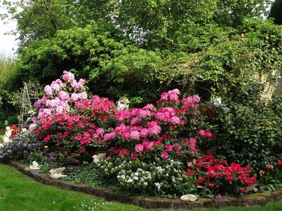 Pure relaxation in the Green Garden: barrier-free, bright and spacious apartment