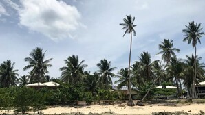 Una playa con palmeras y algunos edificios al fondo.