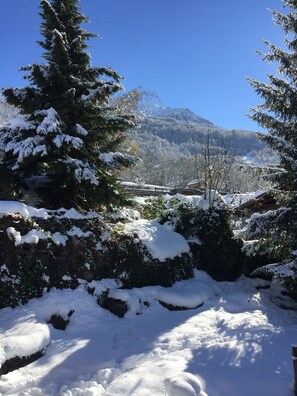 Property grounds - 3 star apartment, sleeps 9, in authentic Savoyard chalet (Sainte-Foy-Tarentaise)