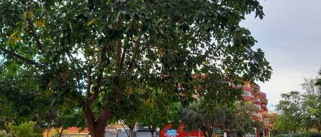 Terrein van de accommodatie