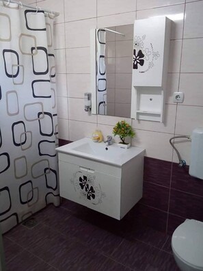 A bathroom with a white sink, a mirror, a shower, and a toilet. - Vila Stefani (Sretenovo)