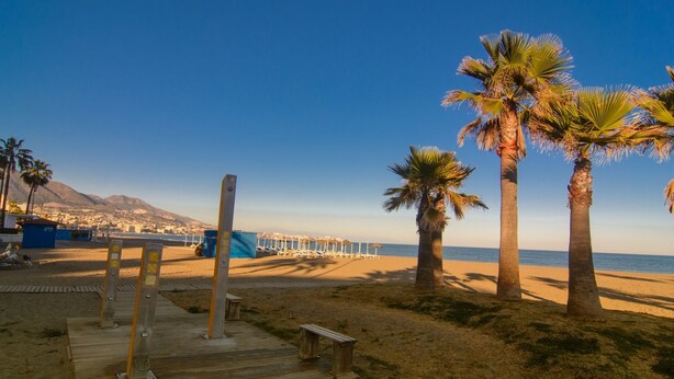 Une plage bordée de palmiers, une promenade en bois et, au loin, le paysage urbain.