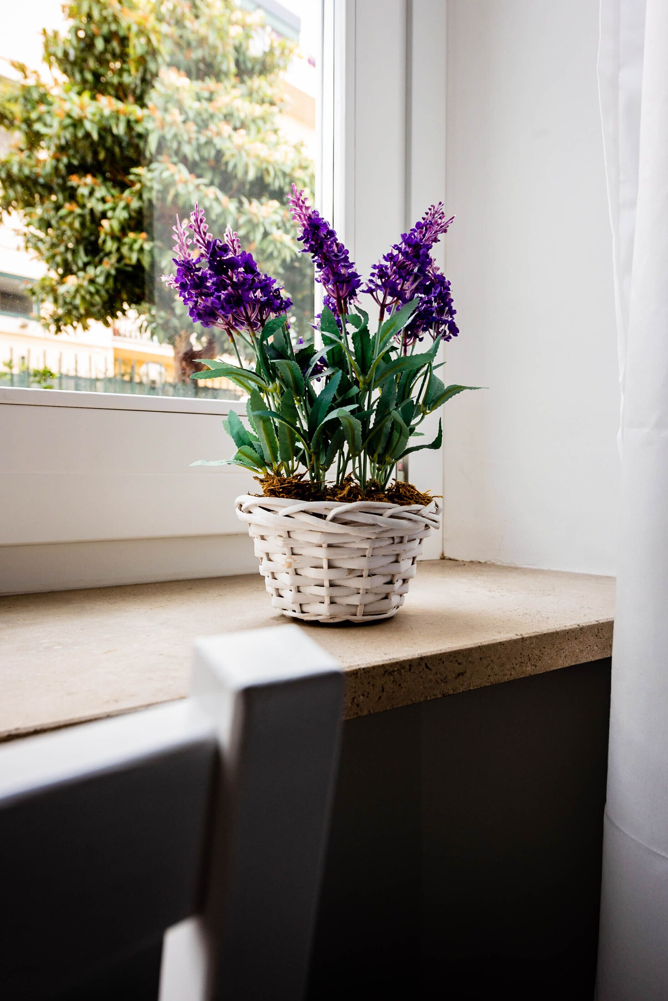 Doppelzimmer | Hochwertige Bettwaren, Schreibtisch, laptopgeeigneter Arbeitsplatz