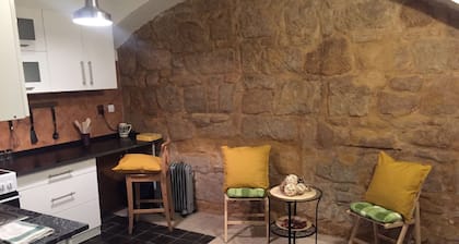 Perfectly located old Pilsen apartment