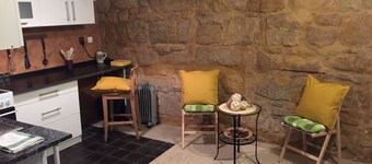 Perfectly located old Pilsen apartment